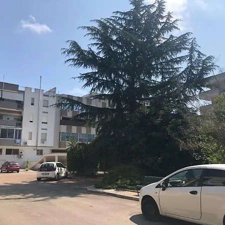 Holidays Oda ve Kahvaltı *